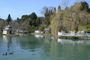 Путешествие по Сочи и его окрестностям.