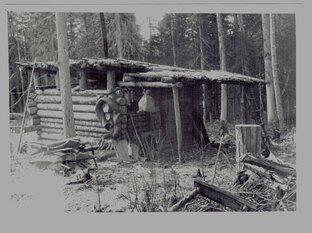 О таёжной жизни