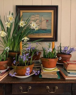 История создания, интересные факты!