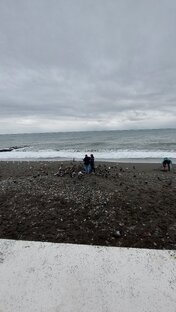 Адлер море