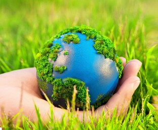 Экология (Ecology)