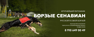  Питомник собак "Борзые-Сенавиан"