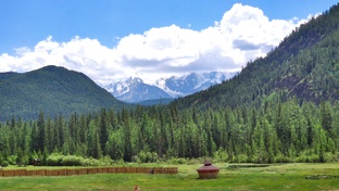 Волшебный Алтай 2022