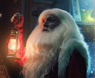 Видеопоздравления с новым годом