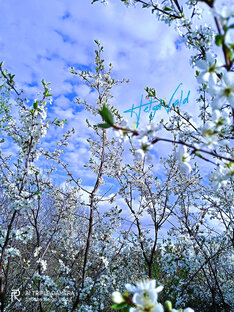 НЕМНОГО КРАСОТЫ