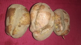Картофель