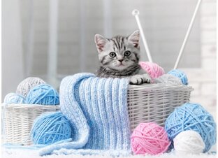 Просто разговоры