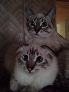 Наше любимое лето