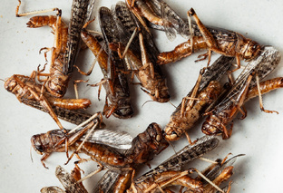 Пошаговые рецепты