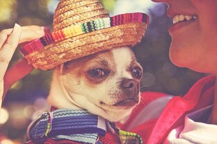 Мексика и мексиканцы