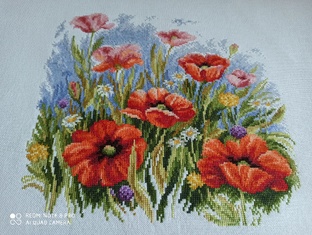 2024 год январь - июнь