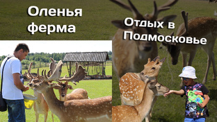 Путешествия