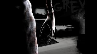 Half-Life Grey