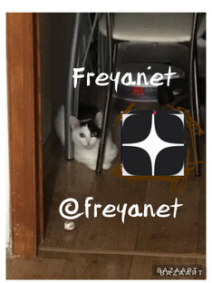 Фрэя Freyanet