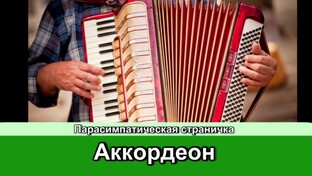 Аккордеон