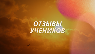 Отзывы