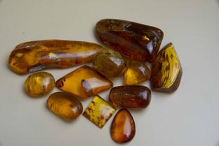Всё о янтаре