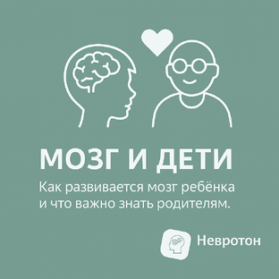 Мозг и дети
