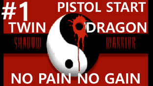 Shadow Warrior: Twin Dragon [No pain no gain, pistolstart]