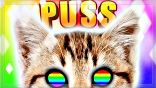 PUSS! ➤ Прохождение на Русском