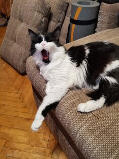 Не вредные советы. 