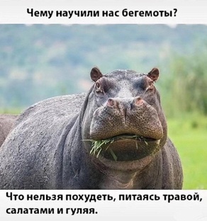 Физическая активность