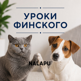 Изучаем финский с NALAPU!