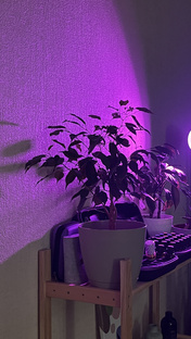 Советы, которые упрощают жизнь.