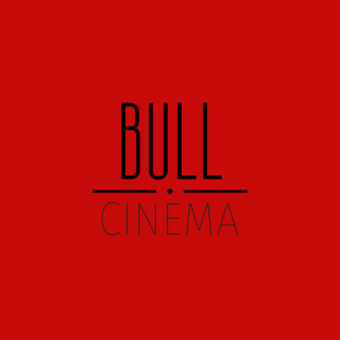 Bull Cinema | Услуги | Виды услуг