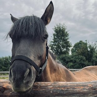 ГОРОДА НА ВЫХОДНЫЕ