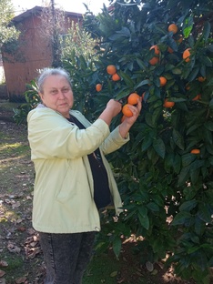 Абхазия осень 2025