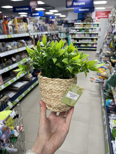 Кратко: Обзор магазина 🛒 