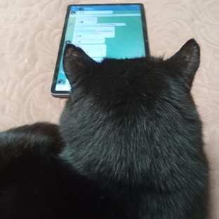 Рецепты от Черномырдина