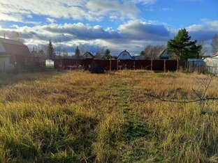 Начинаем обустройство участка в СНТ