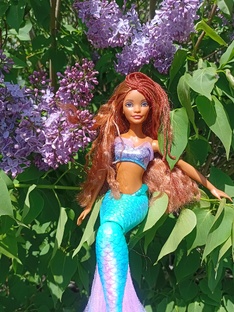 Цветы и куклы