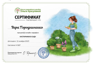 Сертификаты