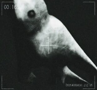 Все Эдиты по analog horror