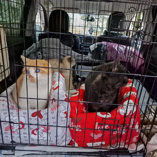 Трое из ЛНР