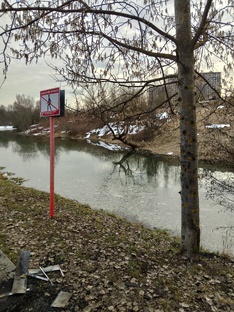 ФББМИ. 3400.ТЖЖ. Теория жизнеспособности и жизнестойкости