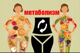 Метаболизм