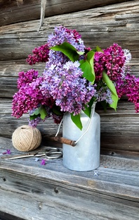 Букет недели