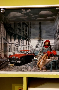 Жизнь в томах и двух домах