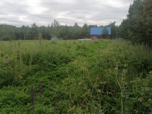 Книга - Жизнь и опыт на гектаре в Родовом поместье