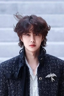 Творчество Вана Ибо