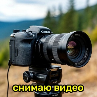 Гуляю, снимаю видео. 