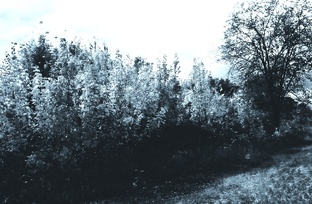 Фотоальбом. 