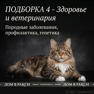 Здоровье и ветеринария
