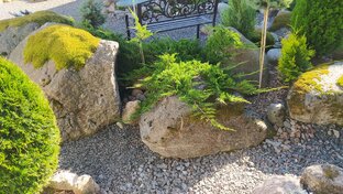 Прогулки по саду