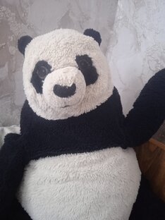 Вместе с Пошей