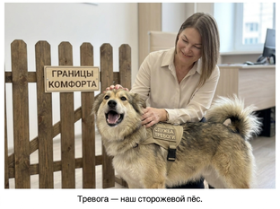 «Тревога: профессиональный разбор от педагога‑психолога»
